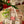 Load image into Gallery viewer, Holiday Gift Basket - Wise Bites